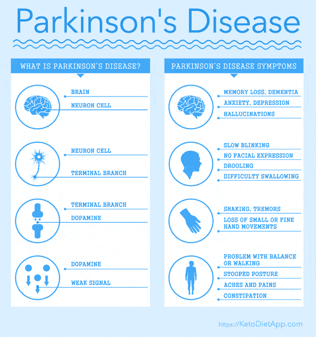 Can the Ketogenic Diet Help Patients with Parkinson