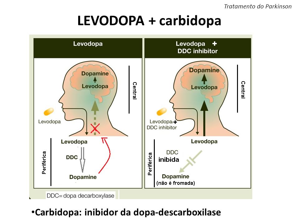 Doença de Parkinson: Mecanismo de ação da levodopa ou L ...