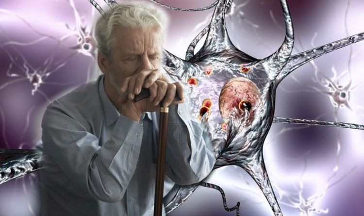 Parkinsons disease: Energy deficiency in cells could be ...