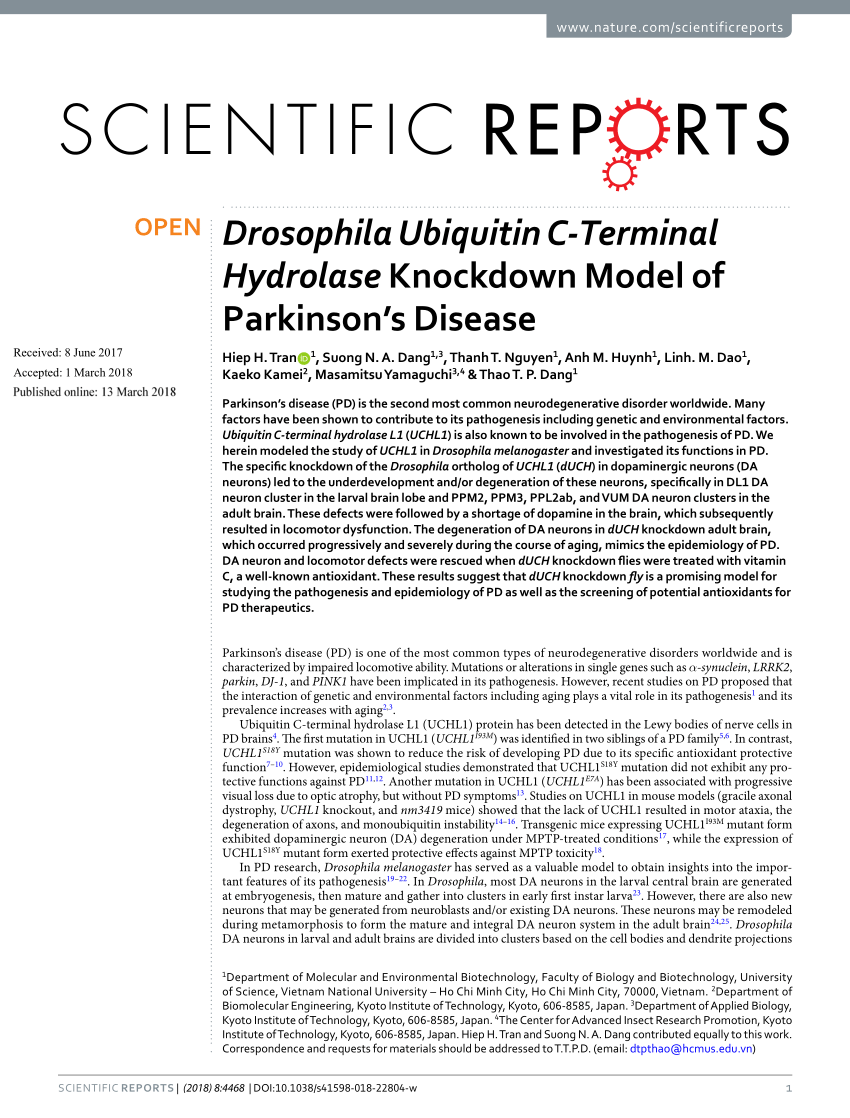 (PDF) Drosophila Ubiquitin C