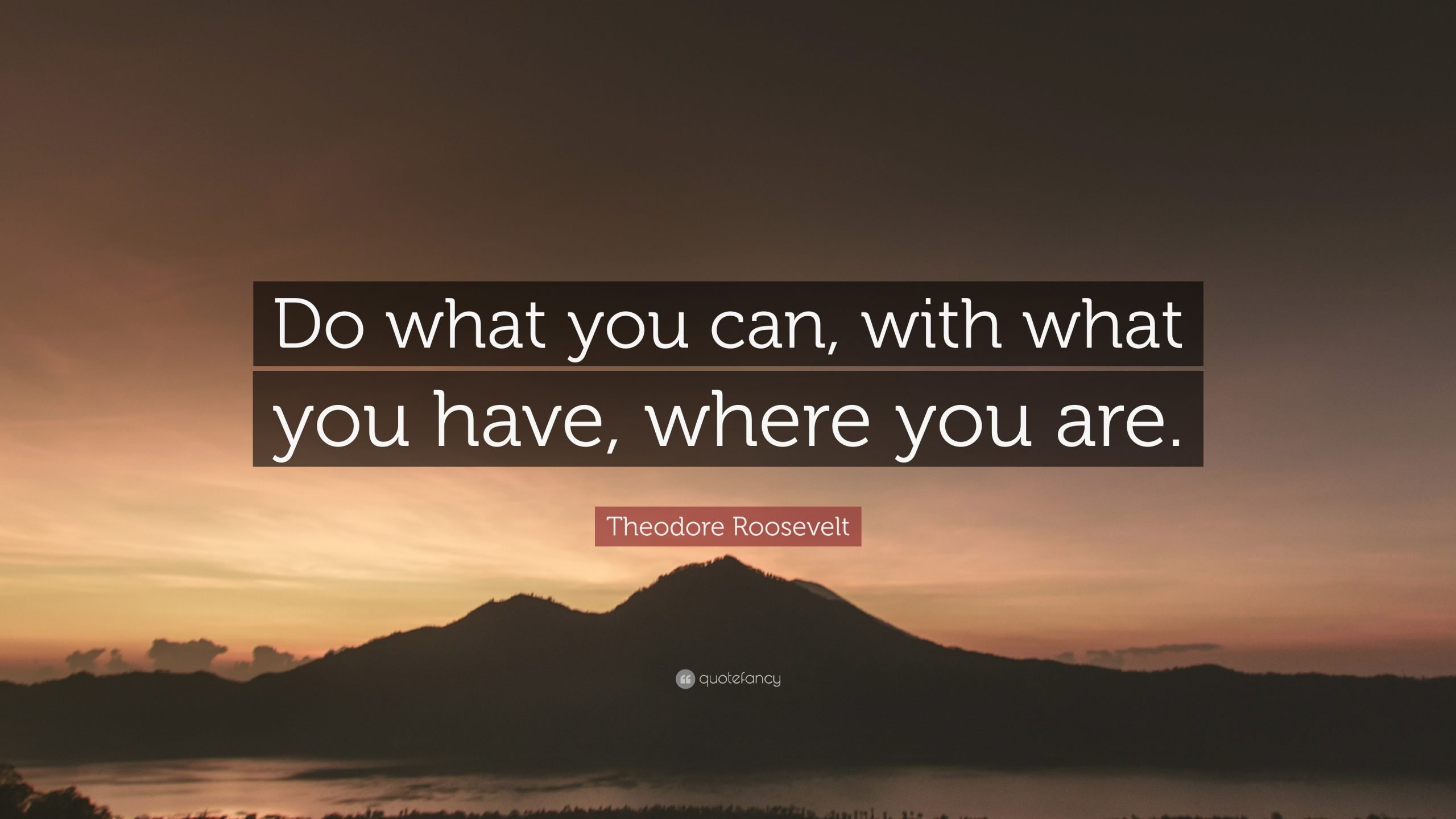 Theodore Roosevelt Quote: Do what you can, with what you ...