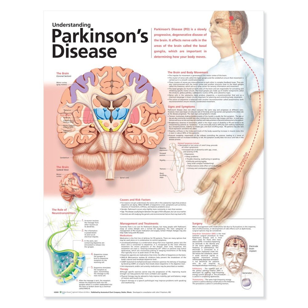 Understanding Parkinson