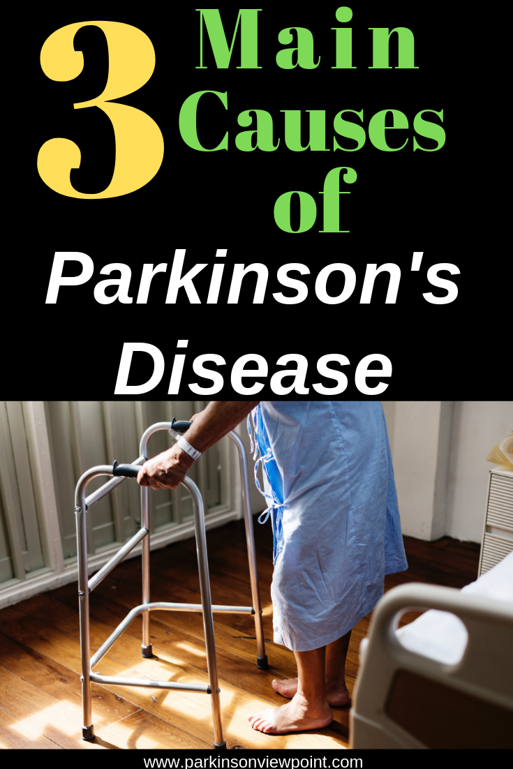 What are the causes of Parkinson’s disease?