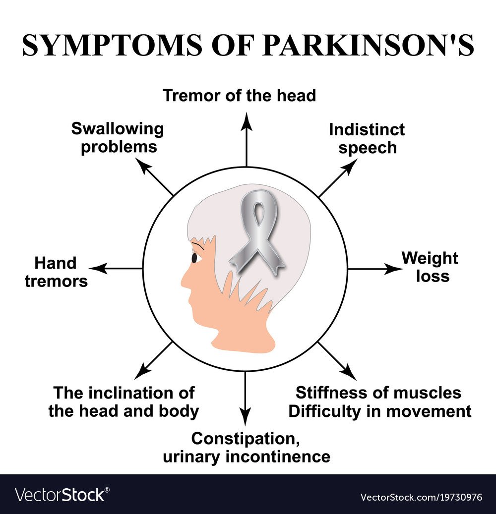 World parkinson day symptoms parkinsons disease Vector Image
